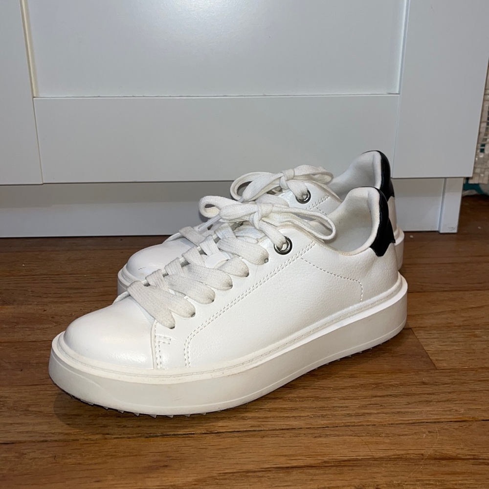 Womens Steve Madden Sneakers